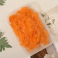 Vibrant orange dried asparagus fern DIY craft material for resin art and handmade gifts. - Orange