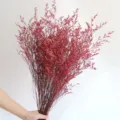 Kokkina apoxiramena louloutia statice gia diakosmisi spitiou kai fotografika axesouar. - 120g / Κόκκινο