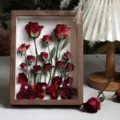 Marco de fotos flores secas rosa roja especimen vegetal decoracion regalo variante SKU pro - Rosa Jardín Neón / 8 Pulgadas Madera de Nogal (con Cadena de Luz Bolsa de Regalo Tarjeta)