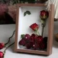 Marco de fotos de flores secas de madera rosa real espécimen de planta decoración regalo - Rosa Isla de Perlas / 8 Pulgadas Madera de Nogal (con Cadena de Luz Bolsa de Regalo Tarjeta)