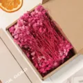 Ροζ αποξηραμένα λουλούδια γυψοφίλης DIY σύνθεση λουλουδιών φυσική διακόσμηση σπιτιού - Ροζ γυψοφίλη σε κουτί (50 στελέχη)