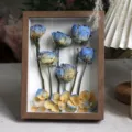 Marco de fotos de flores secas espécimen de rosa decoración del hogar regalo arte - Rosa Cielo Estrellado Hielo Triturado / 8 Pulgadas Madera de Nogal (con Cadena de Luz Bolsa de Regalo Tarjeta)