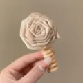 Primo piano dettagliato di un elegante elastico per capelli con rosa secca beige. - Bianco avorio