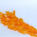 Preserved orange ruscus leaves dried flower bouquet for home decor floral DIY arrangement - 5-Piece Pack / Orange