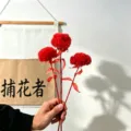 Rojo ramo de flores secas pompon preservado, arreglo floral botánico vibrante para decoración. - Pack de 3 / Rojo