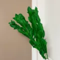 Preserved green ruscus leaves dried flower bouquet for home wedding DIY floral decoration 1pc - 5-Piece Pack / Green