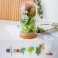 Preserved flower glass dome DIY kit with handmade botanical decorations for home decor gifts. - Mushroom (Diameter 6.5 * 15 cm)