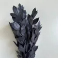 Black preserved orange leaves bouquet, dried floral arrangement for home decor and DIY. - 5-Piece Pack / Black