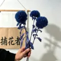 Ramo de flores secas pompón azul, arreglo floral conservado en azul oscuro para el hogar. - Pack de 3 / Azul marino