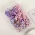 Bellissimi fiori secchi di ortensia sfumati per progetti fai da te e decorazioni nuziali. - Rosa Viola Ortensia Anna Grado A