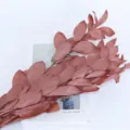 Preserved orange leaves dried flower bouquet for home wedding DIY floral decor ornament - 5-Piece Pack / Dark Tea