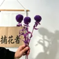 Purple dried flower bouquet, preserved moss ball floral stem for home interior decor style - 3 Pieces / Purple