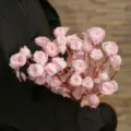 Roze geconserveerde rozen droogbloemen boeket voor huisdecoratie, ins stijl bloemstuk. - Geconserveerde Meerkopige Roos - Roze