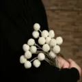 Bouquet di fiori secchi craspedia bianco palline billy naturali per decorazione casa fai - Sfera d'oro / Set da 20 Pezzi / Bianco