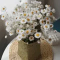 Ramo de flores secas naturales pequeñas margaritas Rodanthe arreglo decoración hogar variante 1 - Pájaros decorativos blancos (1 manojo)