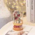 Eternal dried rose flower glass dome with wooden base, romantic gift for friends and mothers. - Small Finished Neon Rose (8*17) (Includes String Lights, Gift Bag, Greeting Card)