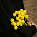 Mazzo di fiori secchi craspedia gialli palline composizione floreale naturale per decorazioni casa - Sfera d'oro / Set da 20 Pezzi / Giallo