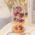 Geconserveerde rode roos glazen koepel cadeau, romantische bloemendecoratie rode variant - Grote afgewerkte True Love roos (10*22) - incl. lichtjes & cadeauzakje