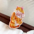 Pinza para el pelo de gato naranja con acabado acrílico brillante para peinados mujer - Estilo Gato León