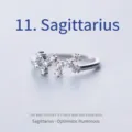Detailed macro view of silver Sagittarius zodiac ring with sparkling zircon stones - Adjustable Open / Sagittarius