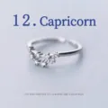 Close-up of silver-plated Capricorn zodiac ring with sparkling cubic zirconia stones. - Adjustable Open / Capricorn