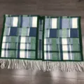 Groen en blauw geruite wollen sjaal met franjes in een platte weergave - Groen