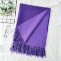 Eleganter doppelseitiger lila Winterschal mit weichen Fransen für Damen im Herbst - Lila / 200cm