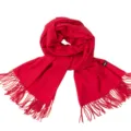 Weicher roter Schal mit eleganten Fransen für Damen im Winter, warm und einfarbig. - 70*180cm / Weinrot