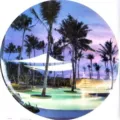 Folding walking cane stool seat with tropical resort pool scenery print, portable and convenient. - Coconut Tree Pattern