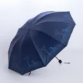10-Rippen Klappbarer Regenschirm UV Schutz Kompakt Zebra Druck Sonnenschirm Blau - Zehn-Rippen Pony Stil / Marineblau