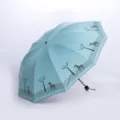 Faltbarer Regenschirm mit niedlichem Zebra-Muster, 10 Rippen, hellblau, Sonnenschutz. - Zehn-Rippen Pony Stil / Hellgrün