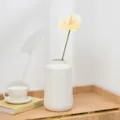 Detailed shot of an artificial anthurium flower in a white ceramic vase on a wooden shelf. - Off White