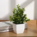 Vue détaillée de plante verte artificielle en pot carré en plastique, faux eucalyptus pour bureau. - Feuilles de buis avec pot (seul)