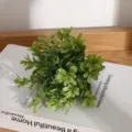 Détail de plante verte artificielle miniature, petit feuillage réaliste pour décoration d'intérieur. - Feuilles de buis sans pot (seul)