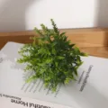 Vue détaillée d'une plante d'eucalyptus artificielle avec des feuilles vertes dans son pot. - Lavande sans pot (seul)