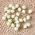 Künstliche weiße Blumenknospen Bastelzubehör für DIY Hochzeitsdekoration und Handgelenk. - Milchiges Grün