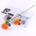 Europäische künstliche Pfingstrose 3 Köpfe künstliche Blumen für die Wohnkultur SKU - Orange