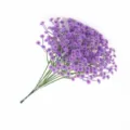 Purple artificial baby breath flower bouquet, plastic gypsophila for home wedding decor - Purple Gypsophila