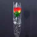 Künstliche rote Rose im transparenten Sternenfolie Geschenk zum Valentinstag verpackt. - Sonnenuntergang