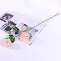 European 3-head artificial peony rose flower branch home living room decor fake floral prop - Champagne