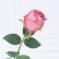 Künstliche rosa Rose Einzelzweig Kunstblume Heimdekoration Hochzeit Fotografie Requisite - Rosa