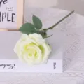 Künstliche weiße Rosenblüte mit grünen Blättern für die Heimdekoration und Hochzeiten. - Grüner Champagner