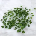 Artificial green plant hanging vine simulation watermelon leaf home wall decor rattan - Watermelon Leaf Wall Hanging