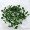 Artificial green plant vine ivy leaf garland for home wall decor and simulation foliage - Begonia Leaf Wall Hanging