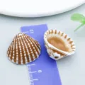 Καφέ και λευκά ακρυλικά μενταγιόν κοχύλια για χειροποίητα κοσμήματα DIY. - Κοχύλι με Κάθετη Τρύπα (27388)