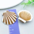 Καφέ και λευκά ριγέ ακρυλικά μενταγιόν κοχύλια για την κατασκευή κοσμημάτων DIY - Κοχύλι με Οριζόντια Τρύπα (27389)