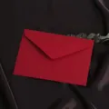 Vue détaillée de l'enveloppe rouge texturée en lin avec une feuille verte décorative sur fond de soie. - Texture lin 130g - rouge lin