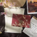 Vintage floral stationery set detail featuring embossed envelopes, writing paper, and wax seal. - 3 Envelopes + 10 Sheets + 3 Wax Seals / Begonia Red