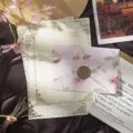 Vintage floral letter paper and envelope set with embossed design, retro stationery for writing. - 3 Envelopes + 10 Rabbit Letter Papers + 3 Wax Seals / Apricot Pink