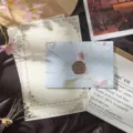 Vintage floral stationery set with letter paper and envelope, elegant retro design for writing. - 3 Envelopes + 10 Rabbit Letter Papers + 3 Wax Seals / Phalaenopsis